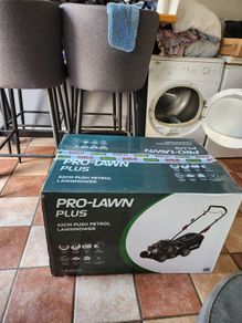 lawn