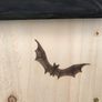 Bat boxes Image 3
