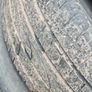 Ford focus alloys Image 5