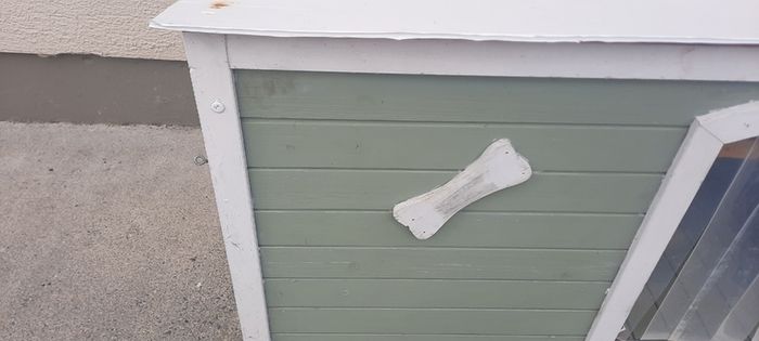 Dog Box