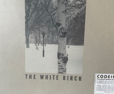 Codeine - The White Birch