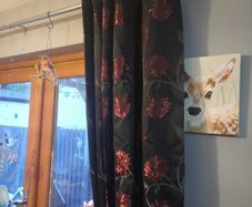 black/red lined curtains
