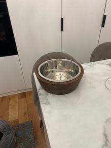 dog bowl