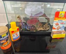fish tank
