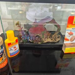 fish tank