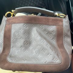 louis  vuitton bag