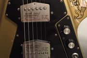 1975 BURNS FLYTE with flight case.