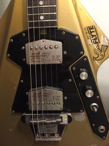 1975 BURNS FLYTE with flight case.