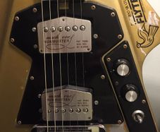 1975 BURNS FLYTE with flight case.