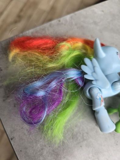 Articulated Joints Rainbow Dash with Pet Turtle Tortoise MLP G4 My Little Pony