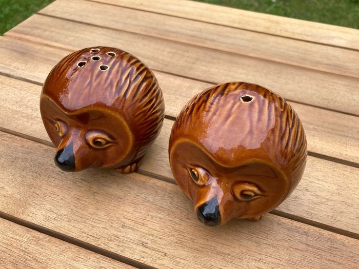 RARE Vintage P.K. Price & Kensington Pottery Salt and Pepper Shakers, Hedgehogs
