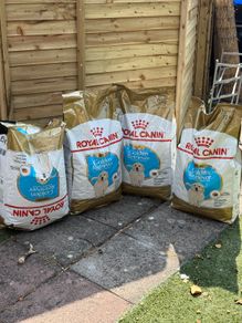 Royal Canin Golden Retriever Puppy - dog dry food