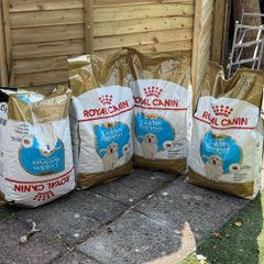 Royal Canin Golden Retriever Puppy - dog dry food