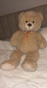 Large Teddy Bear