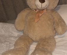Large Teddy Bear