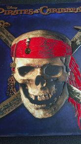 Pirates Of The Caribbean Book
