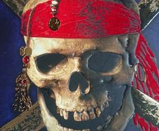 Pirates Of The Caribbean Book