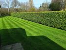 PC Garden Service Skerries Image 9