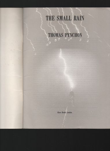 Thomas Pynchon. The Small Rain.
