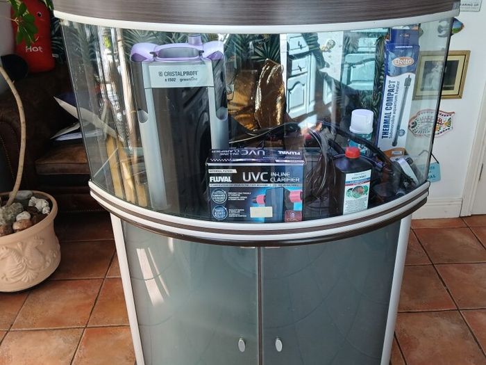 aqualantis bow front aquarium 200lt