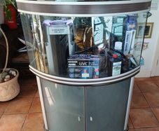 aqualantis bow front aquarium 200lt