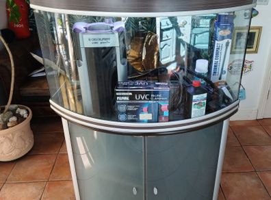 aqualantis bow front aquarium 200lt