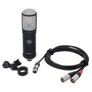 Universal Audio Sphere LX Modeling Microphone Image 2