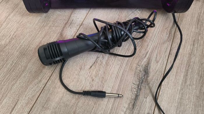Karaoke speaker