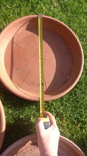 Large plastic plant saucers