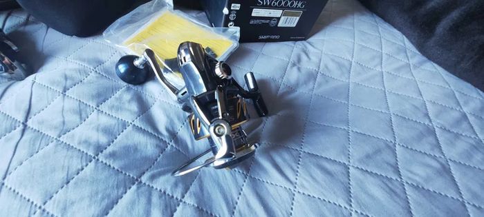 Shimano Stella SW 6000HG