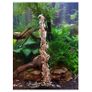 Shrimps forever shrimp lolly mineral 10pcs Image 2