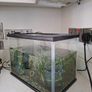 Fish tank Image 4