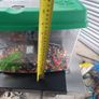 Fish tank Image 4