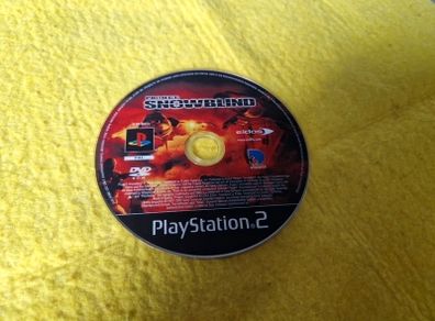 Project Snowblind PlayStation 2 ps2 games Original