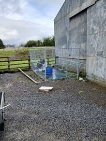 Galvanised Dog Pen