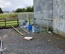 Galvanised Dog Pen