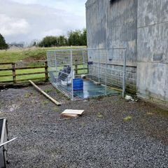 Galvanised Dog Pen