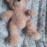 steiff teddy Image 4