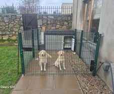Kingspan double dog house and strong pen.