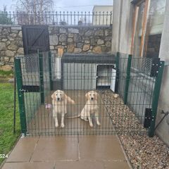 Kingspan double dog house and strong pen.