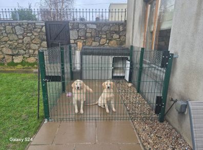 Kingspan double dog house and strong pen.