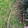 Gardening work Image 3