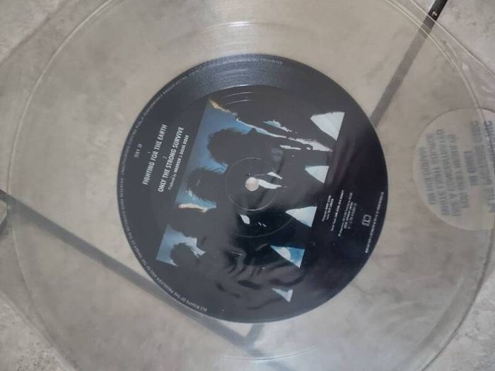 vintage vinyl  picture discs original