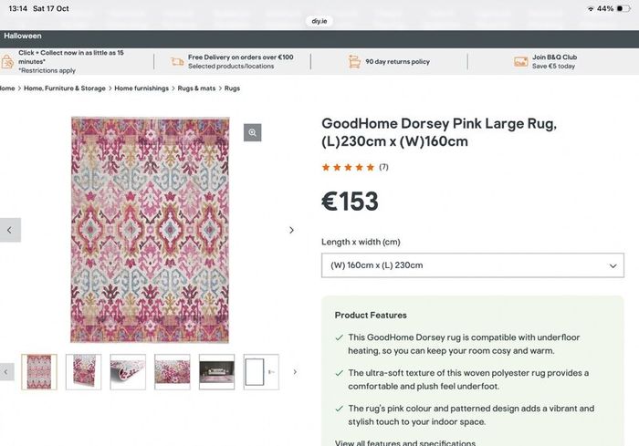 Rug. Brand new