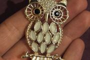 Ladies Owl Brooch