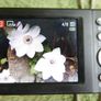 Pentax Optio M900 Digital Camera: 12.1 MP, 5X Zoom - Tested Image 8