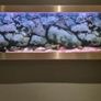 Shallow Fish Tank Image 4