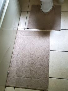 Bathroom rug