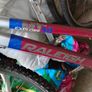 Free Raleigh Bike Image 9