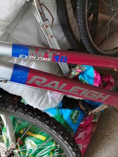 Free Raleigh Bike